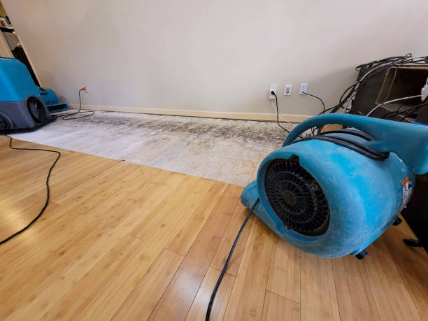 Professional Water Damage Repair technician working in Deep Water, WV